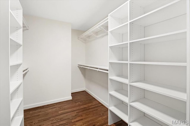 139 N Central Ave Unit P, Saint Louis, MO 63105 - spacious closet featuring dark wood-style floors
