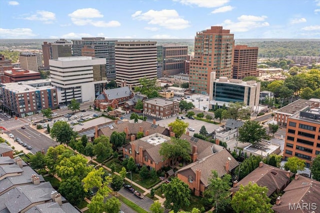 139 N Central Ave Unit P, Saint Louis, MO 63105 - view of urban area