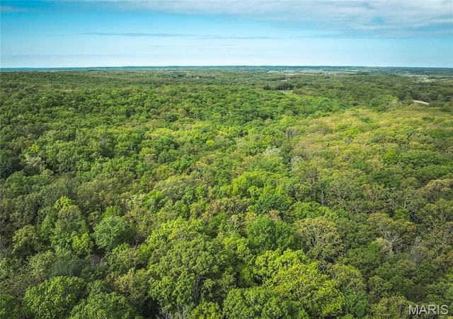 10771 Crest Rd, Dixon, MO 65459 - drone / aerial view of a forest