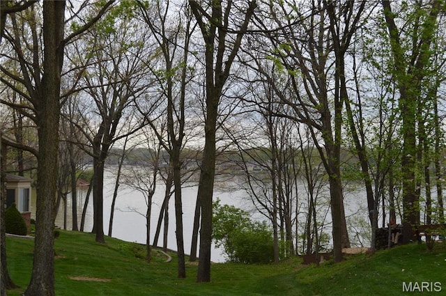 611 Woodchuck Ln, Lake St Louis, MO 63367 - water view