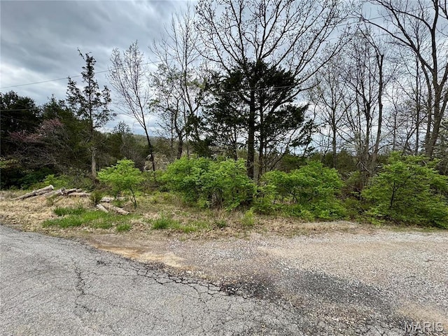 511 Arrowhead, Cedar Hill, MO 63016