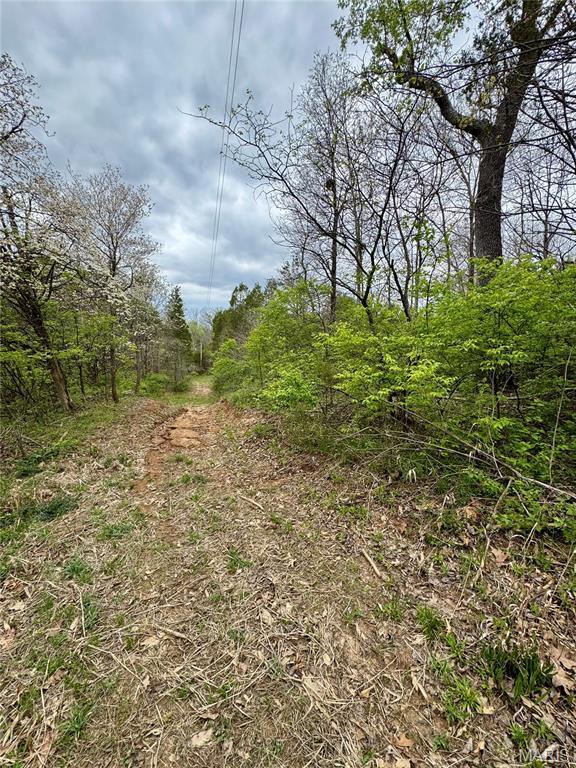 511 Arrowhead, Cedar Hill, MO 63016