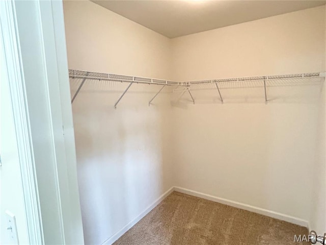 833 Harding St, Saint Peters, MO 63376 - spacious closet featuring carpet