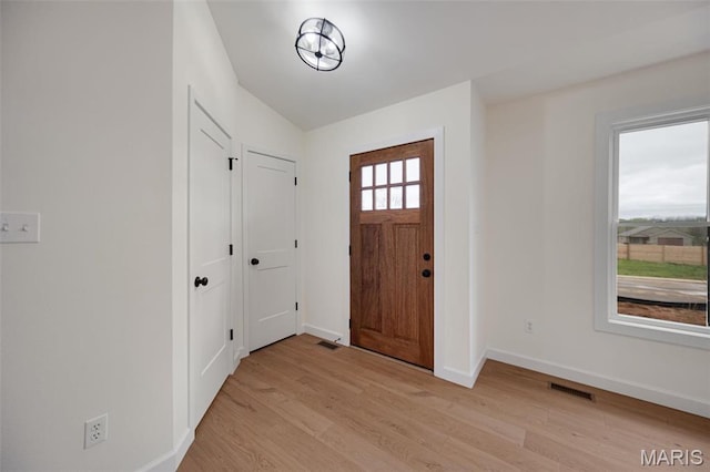 10204 Riehl Farm Dr, Potosi, MO 63664 - foyer entrance featuring baseboards and light wood-style flooring