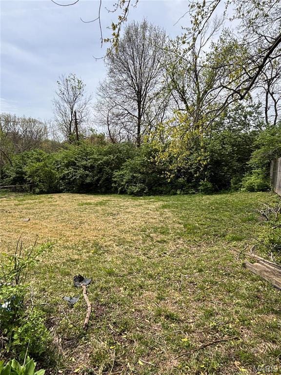 4005 Shirley Dr, Saint Louis, MO 63121 - view of green lawn