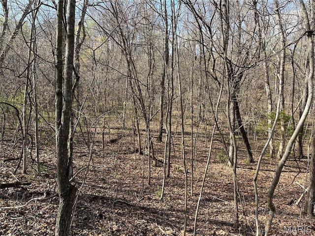 82 Lindberg Woods Ln, Cuba, MO 65453 - photo 2
