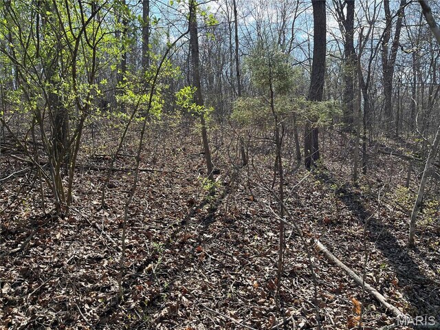 82 Lindberg Woods Ln, Cuba, MO 65453 - photo 3