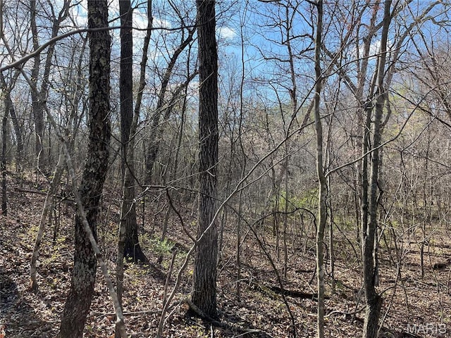 82 Lindberg Woods Ln, Cuba, MO 65453 - photo 4