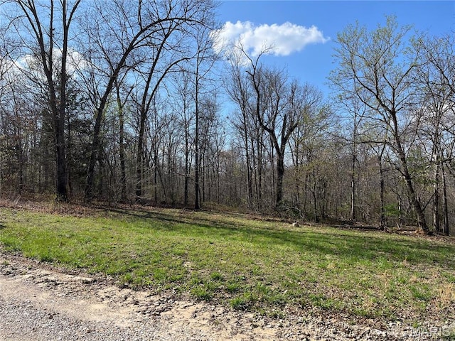 82 Lindberg Woods Ln, Cuba, MO 65453 - photo 5