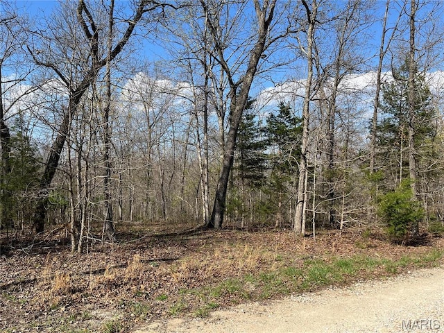 82 Lindberg Woods Ln, Cuba, MO 65453 - photo 6