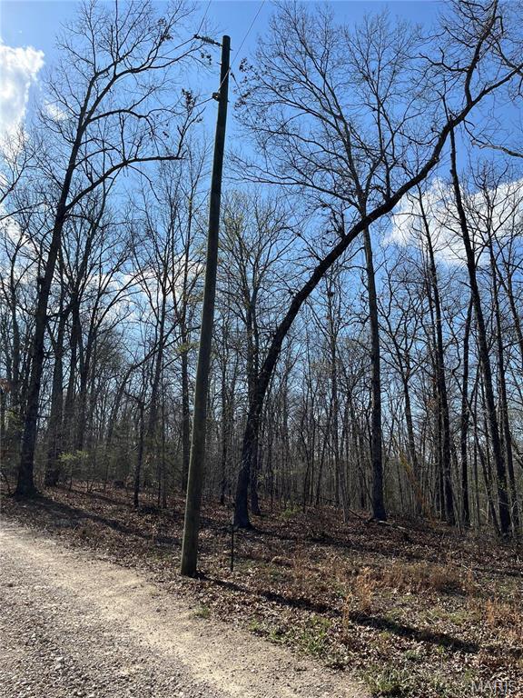 82 Lindberg Woods Ln, Cuba, MO 65453 - photo 7