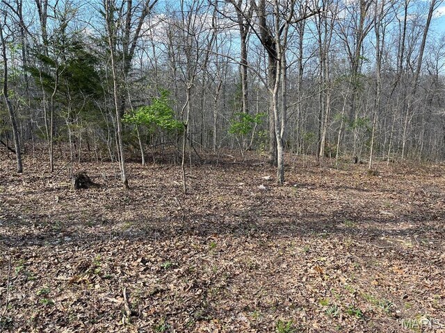 82 Lindberg Woods Ln, Cuba, MO 65453 - photo 8