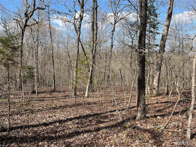 82 Lindberg Woods Ln, Cuba, MO 65453 - photo 10