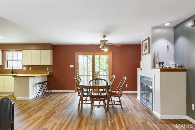 14276 State Route 21, De Soto, MO 63020 - dining space with plenty of natural light, baseboards, a glass covered fireplace, and light wood-type flooring