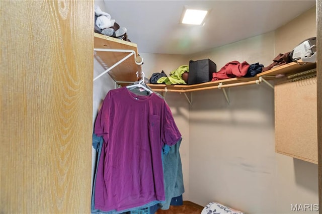 14276 State Route 21, De Soto, MO 63020 - view of spacious closet