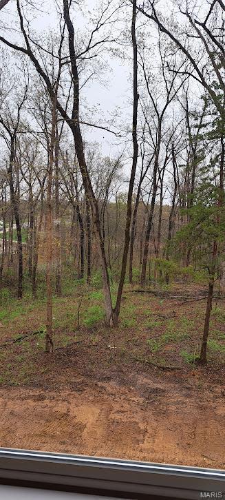 442 Shady Trail Dr, Troy, MO 63379 - view of yard