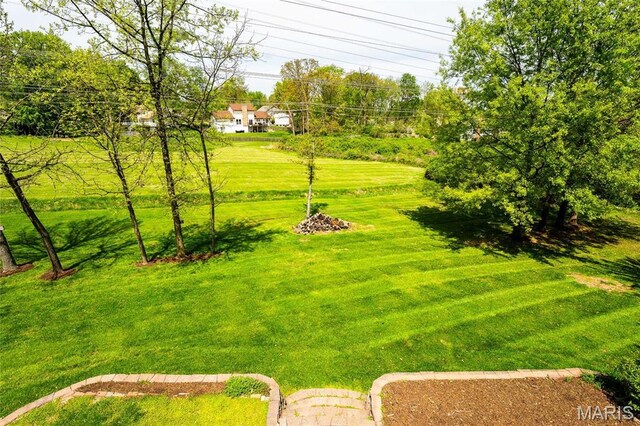 2004 Mint Hill Ct, Chesterfield, MO 63017 - photo 47
