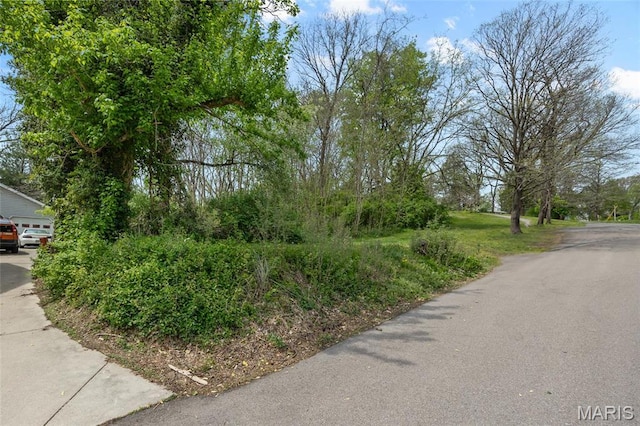883 Biltmore St, Saint Genevieve, MO 63670 - view of asphalt road