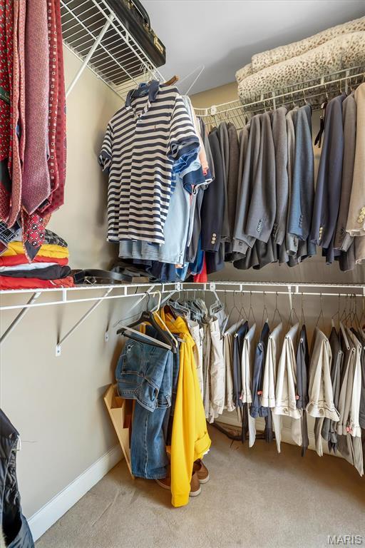 spacious closet featuring carpet flooring