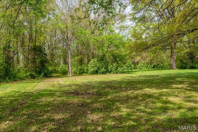 1340 Denmark Rd, Union, MO 63084 - view of green lawn featuring a view of trees