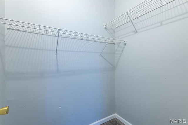 1340 Denmark Rd, Union, MO 63084 - view of walk in closet