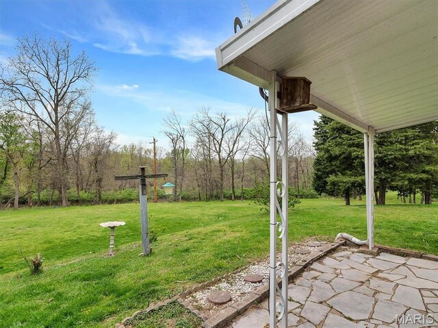 3100 Edgemont Ct, Saint Ann, MO 63074 - view of grassy yard