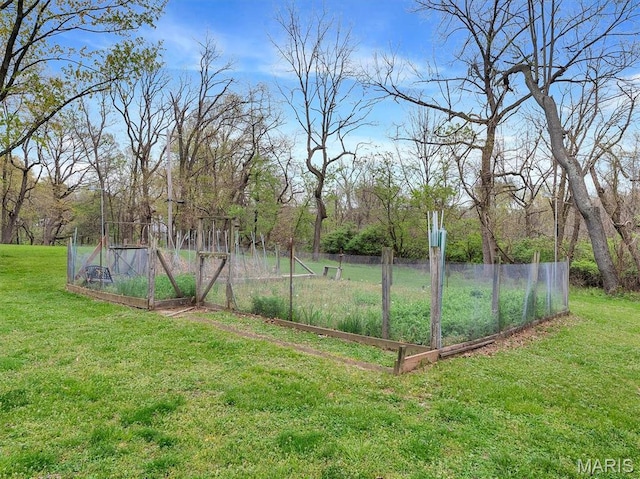 3100 Edgemont Ct, Saint Ann, MO 63074 - view of yard with a vegetable garden