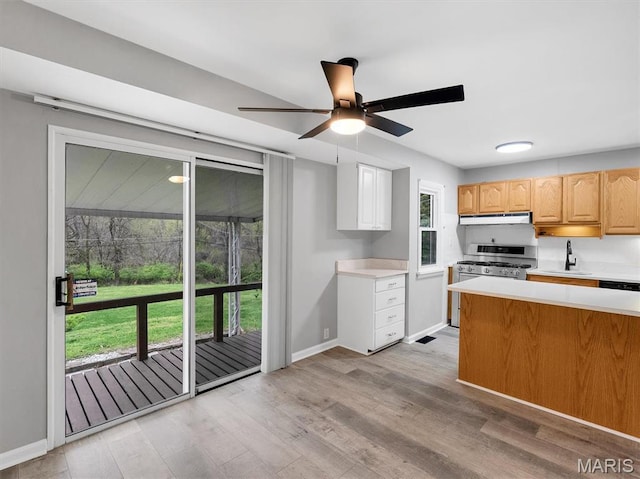 3100 Edgemont Ct, Saint Ann, MO 63074 - kitchen with under cabinet range hood, a sink, light countertops, a ceiling fan, and light wood-style flooring
