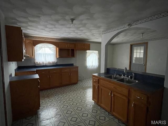 515 S Main St, Fredericktown, MO 63645 - kitchen featuring a sink, plenty of natural light, dark countertops, and arched walkways