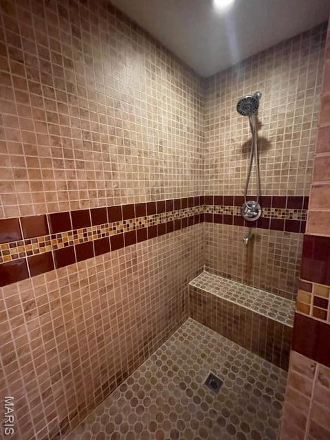 515 S Main St, Fredericktown, MO 63645 - full bath with tiled shower