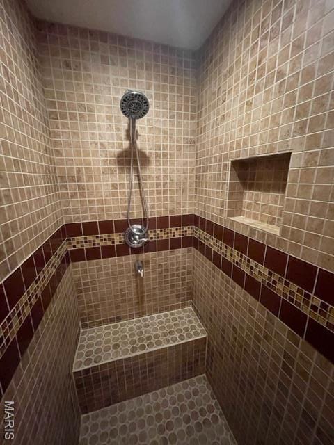 515 S Main St, Fredericktown, MO 63645 - bathroom featuring a tile shower