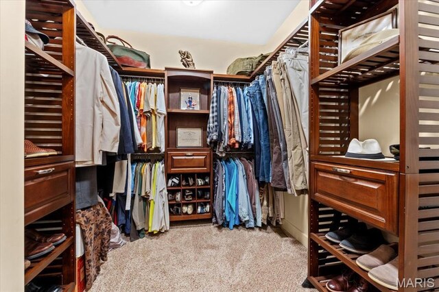 16480 Walnut Rail Rd, Chesterfield, MO 63005 - walk in closet with carpet floors