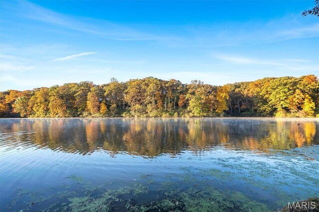 16480 Walnut Rail Rd, Chesterfield, MO 63005 - water view featuring a forest