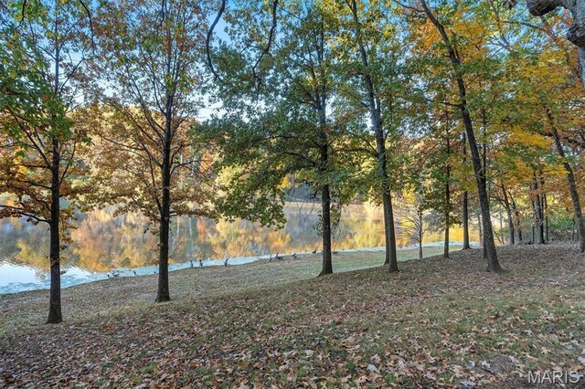 16480 Walnut Rail Rd, Chesterfield, MO 63005 - view of yard