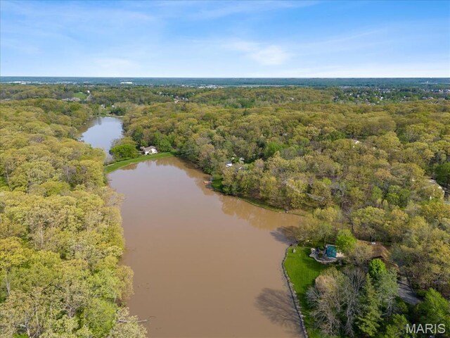16480 Walnut Rail Rd, Chesterfield, MO 63005 - aerial view of a forest and a nearby body of water