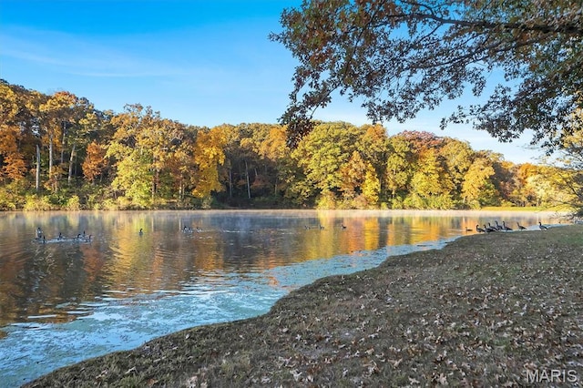 16480 Walnut Rail Rd, Chesterfield, MO 63005 - water view with a forest