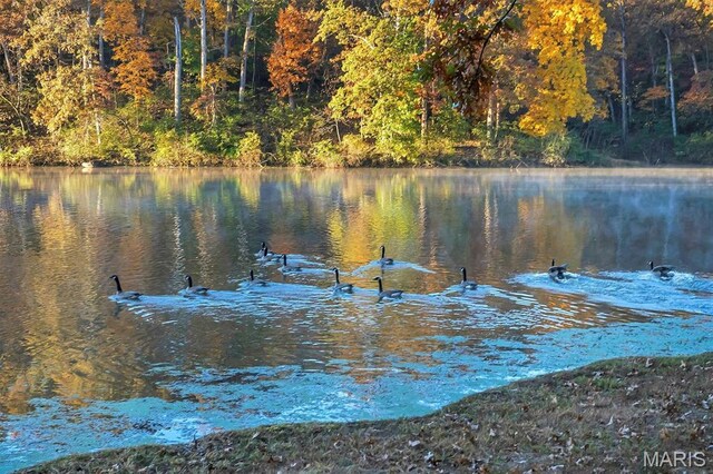 16480 Walnut Rail Rd, Chesterfield, MO 63005 - water view with a forest