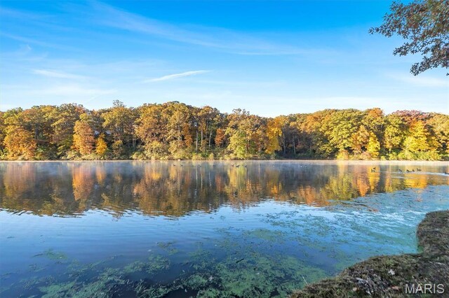 16480 Walnut Rail Rd, Chesterfield, MO 63005 - water view featuring a forest