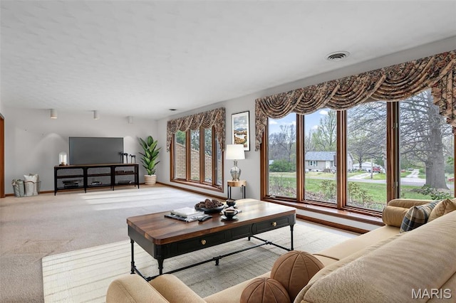 3581 Jarvis Rd, Hillsboro, MO 63050 - living room with baseboards and carpet floors