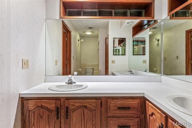 3581 Jarvis Rd, Hillsboro, MO 63050 - full bathroom with toilet, vanity, and wallpapered walls