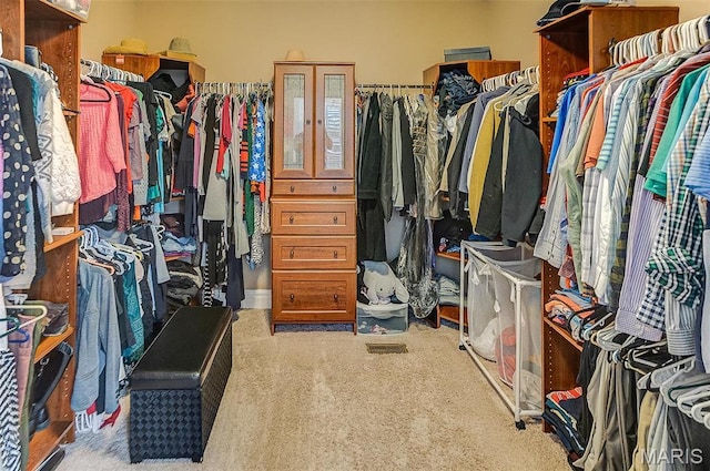 7048 Alston Ct, Edwardsville, IL 62025 - spacious closet featuring carpet