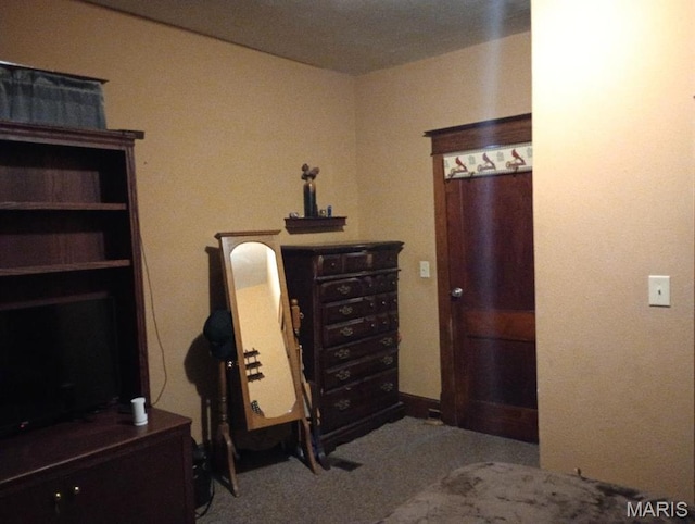 306 Kingshighway, East Alton, IL 62024 - bedroom featuring carpet