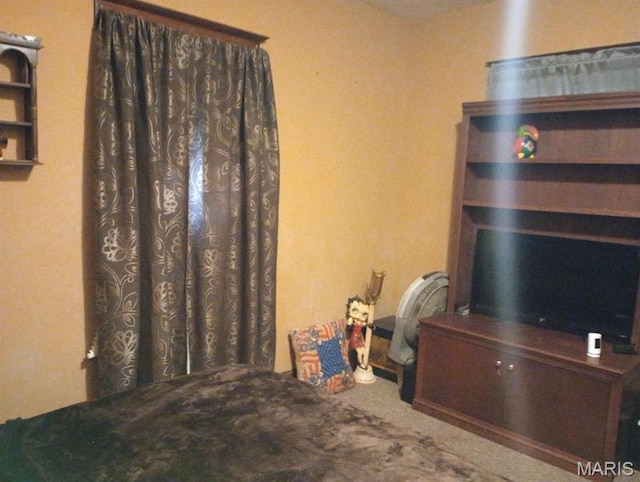 306 Kingshighway, East Alton, IL 62024 - view of carpeted living area