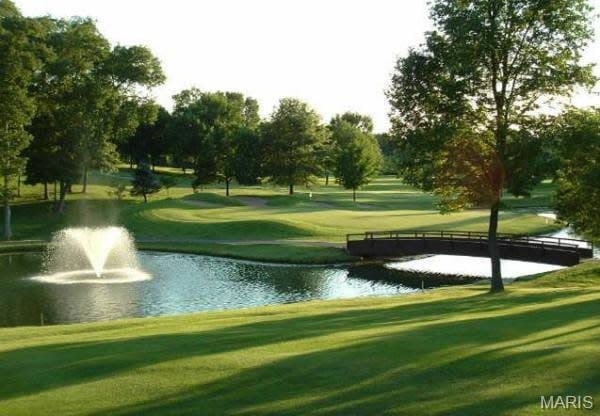242 Kerry Downs Dr, Dardenne Prairie, MO 63368 - view of community with a water view, a yard, and golf course view