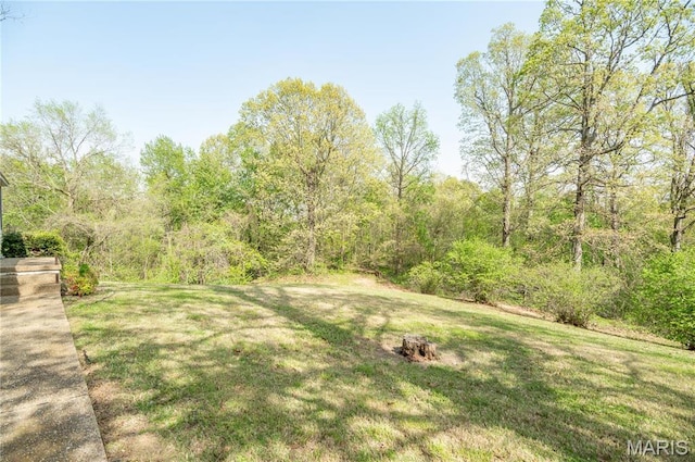 16747 Chalk Bluff Trl, Dexter, MO 63841 - view of green lawn featuring a forest view
