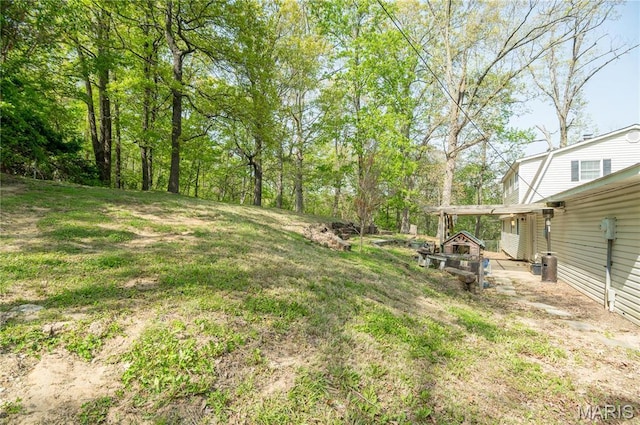 16747 Chalk Bluff Trl, Dexter, MO 63841 - view of yard