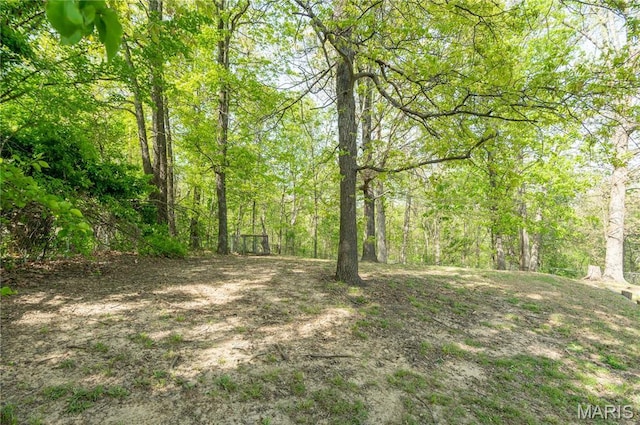 16747 Chalk Bluff Trl, Dexter, MO 63841 - view of yard with a view of trees