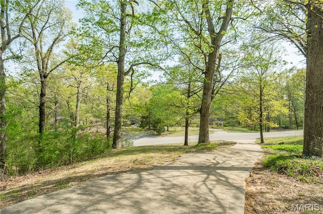 16747 Chalk Bluff Trl, Dexter, MO 63841 - surrounding community with a view of trees