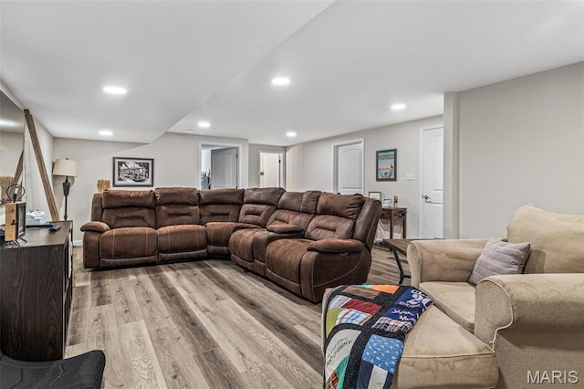 105 Shepherd Mountain Rd, Farmington, MO 63640 - living area with light wood finished floors and recessed lighting