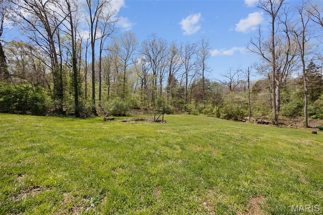 409 Pawnee Dr, Irondale, MO 63648 - view of grassy yard